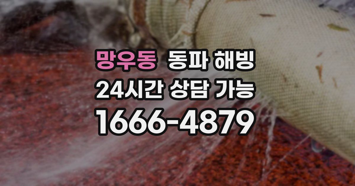 망우동 동파 해빙