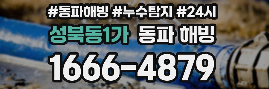 성북동1가 동파