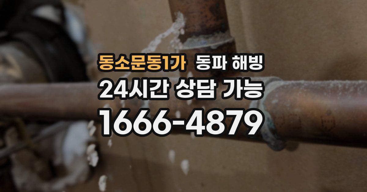 동소문동1가 동파 해빙