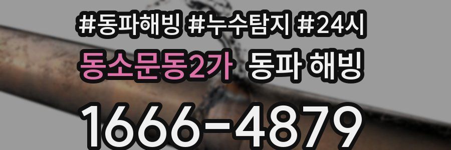 동소문동2가 동파