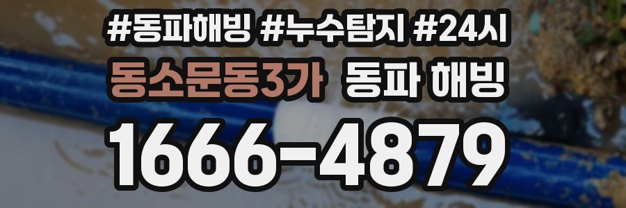 동소문동3가 동파
