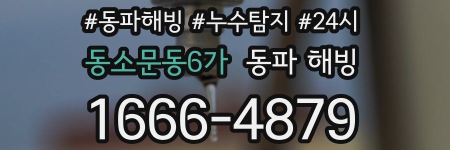 동소문동6가 동파