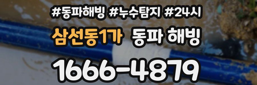 삼선동1가 동파