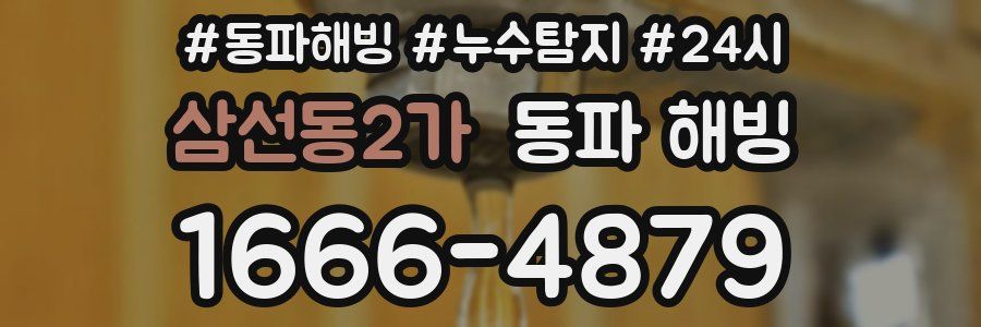 삼선동2가 동파