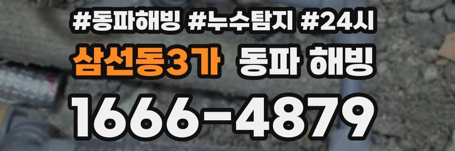 삼선동3가 동파