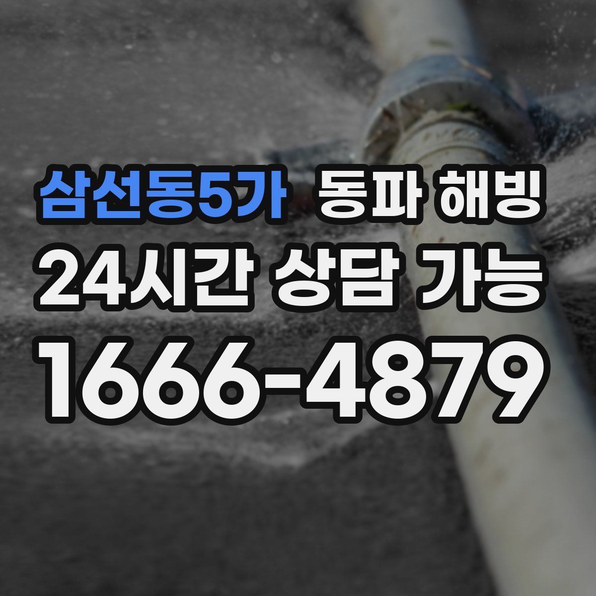 삼선동5가 해빙