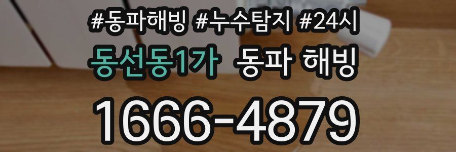동선동1가 동파