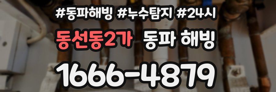 동선동2가 동파