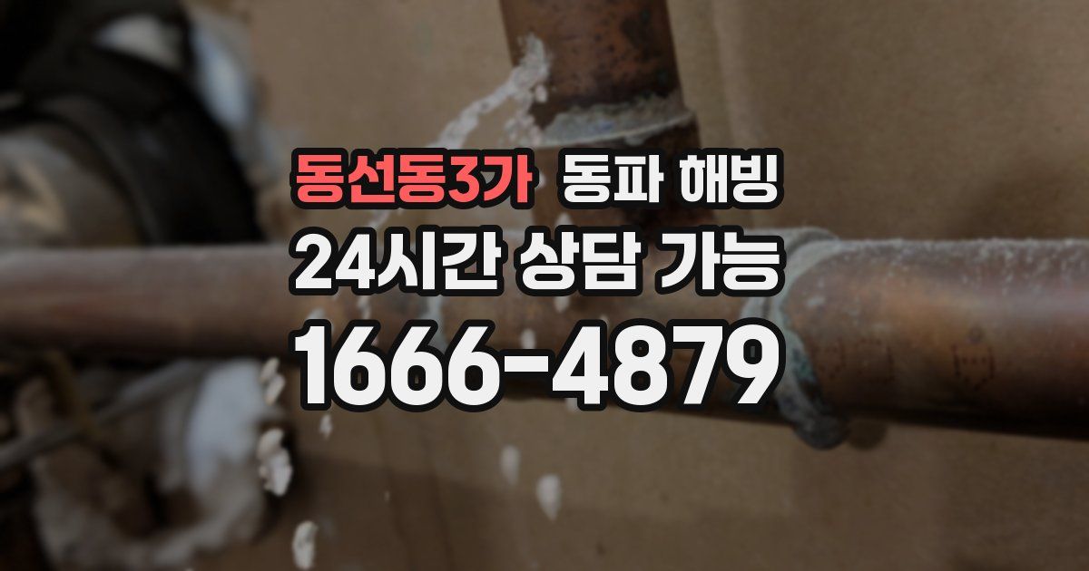 동선동3가 동파 해빙