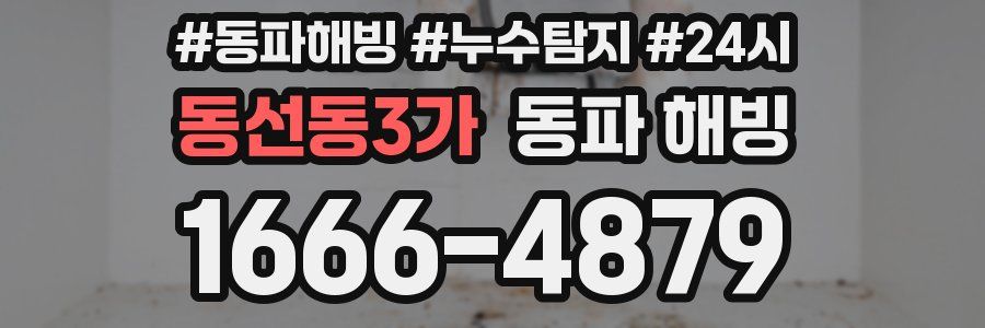 동선동3가 동파