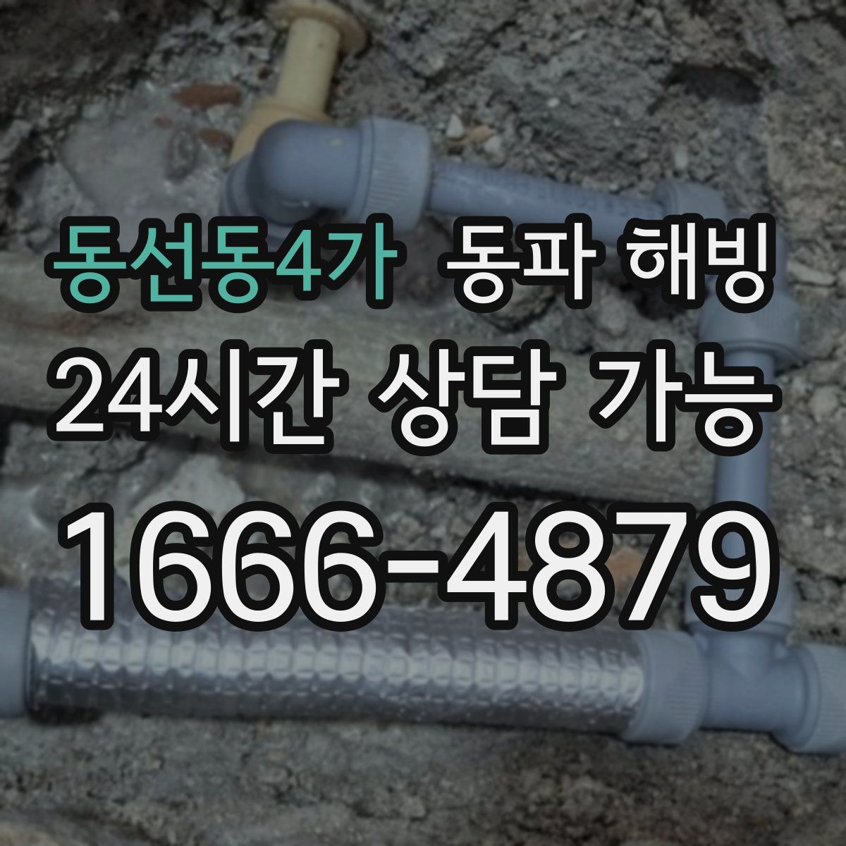 동선동4가 해빙