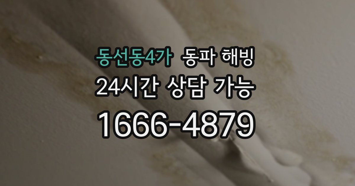 동선동4가 동파 해빙