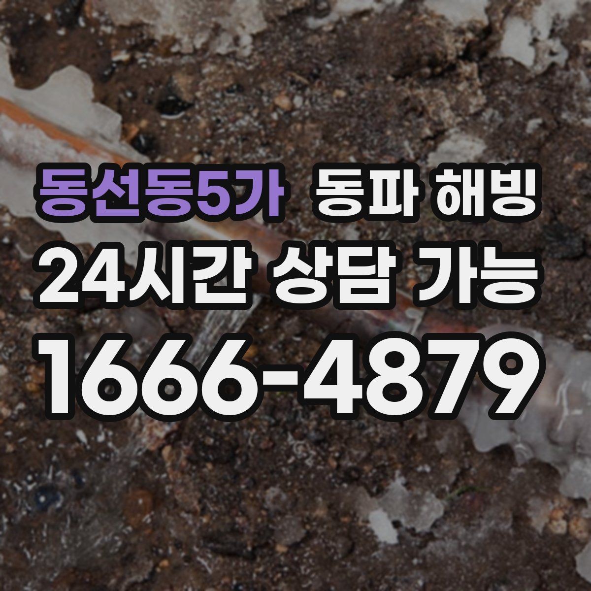 동선동5가 동파 해빙 복구 후 욕실 수전 테스트 체크리스트