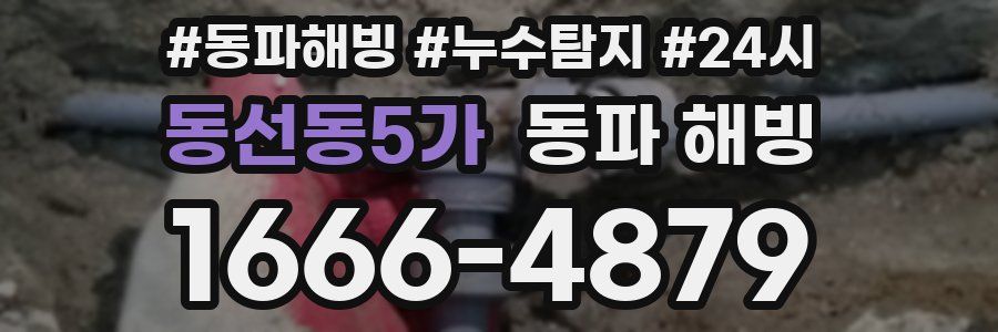 동선동5가 동파