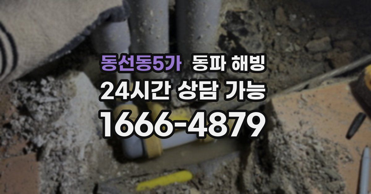 동선동5가 동파 해빙