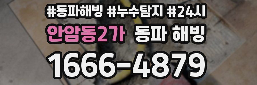 안암동2가 동파