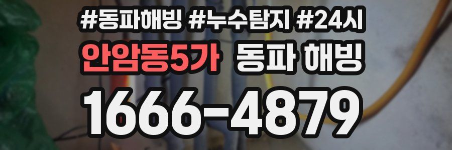 안암동5가 동파