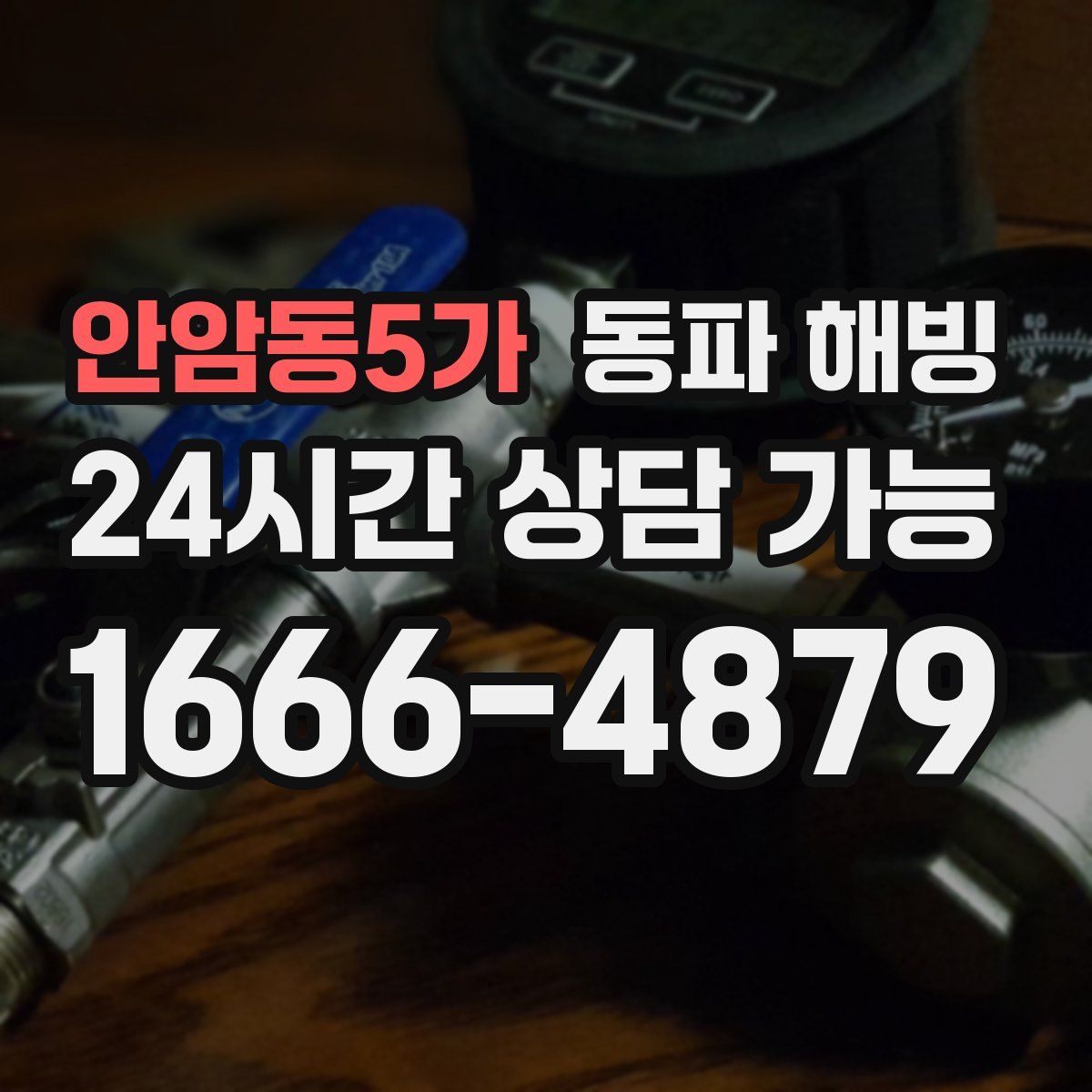 안암동5가 해빙