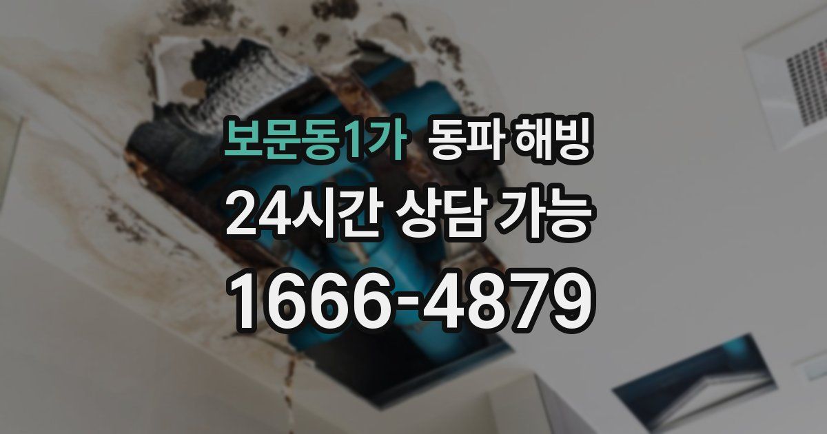 보문동1가 동파 해빙