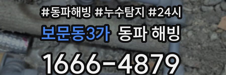 보문동3가 동파