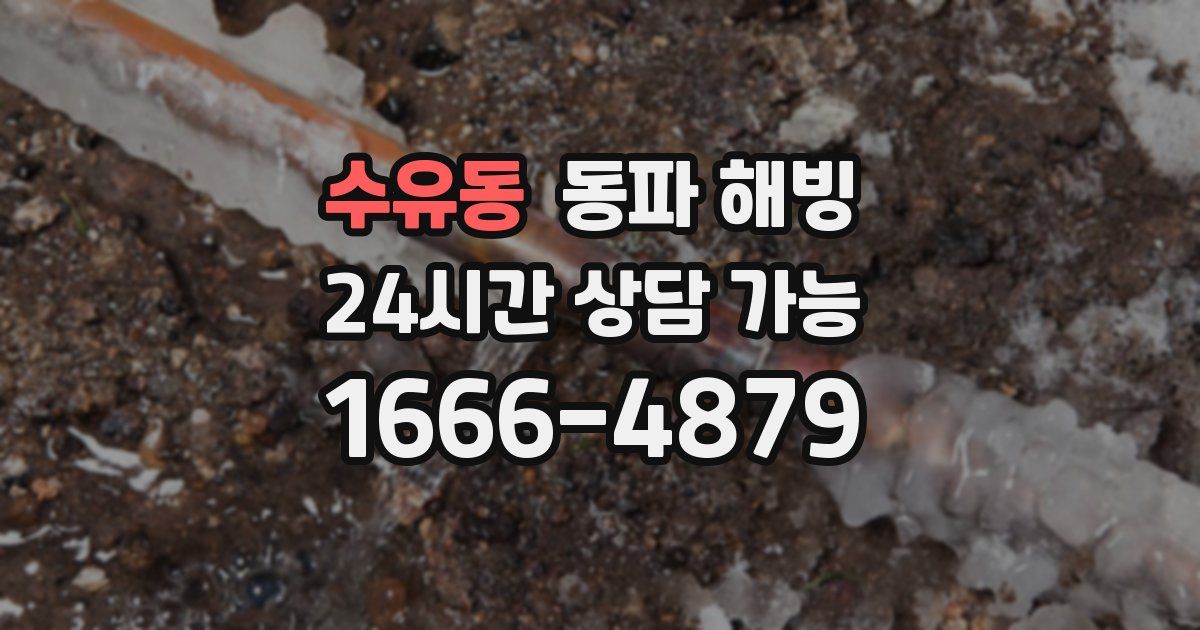 수유동 동파 해빙