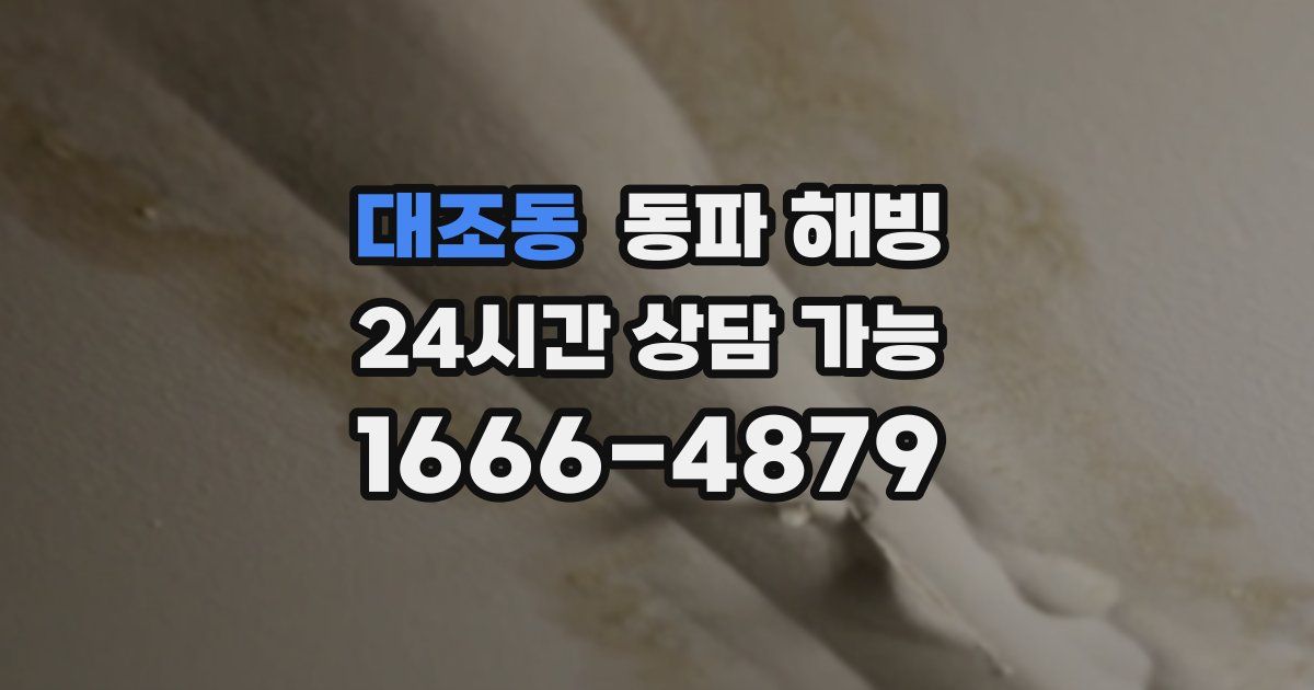 대조동 동파 해빙