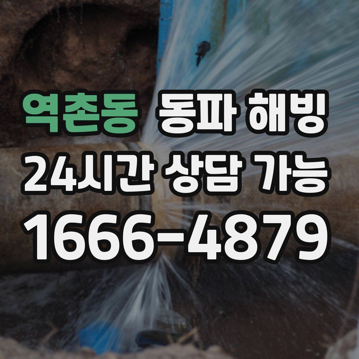 역촌동 동파 해빙 세대 전체 급수 끊김 계량기부터 확인