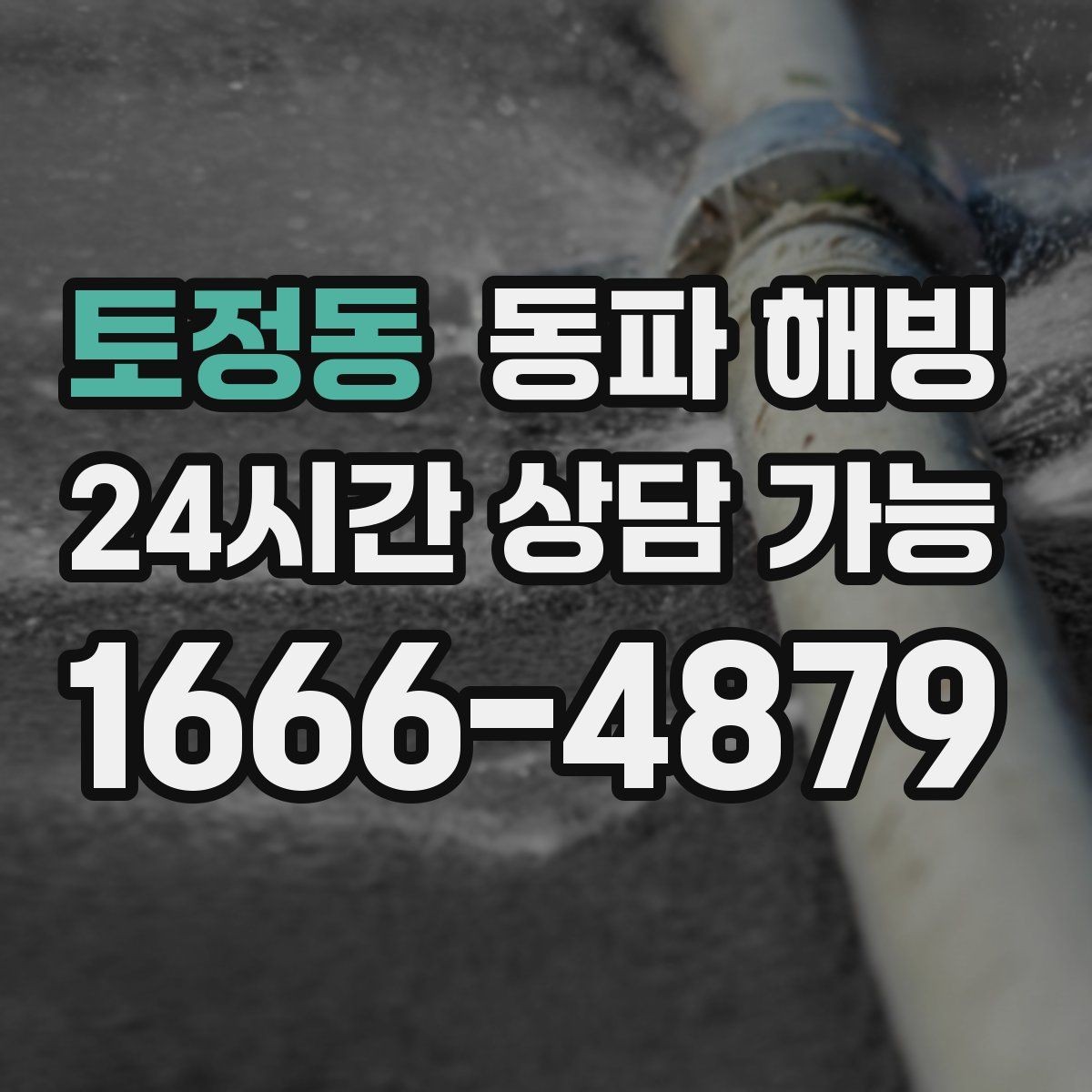 토정동 동파 해빙 급수 회복까지 필요한 확인 포인트