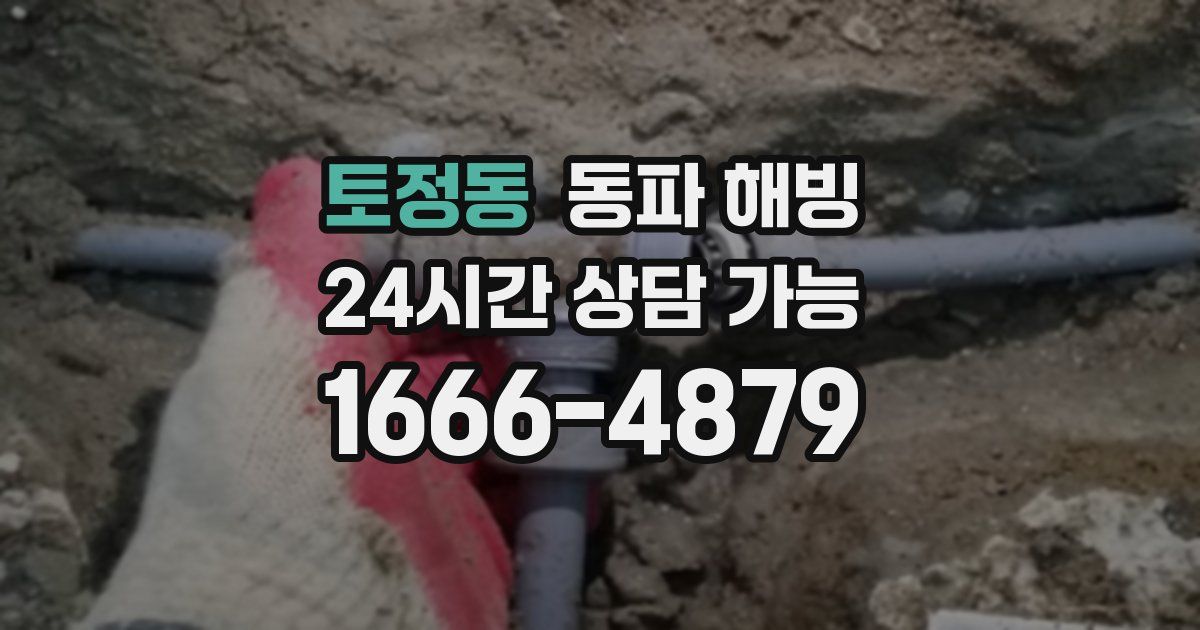 토정동 동파 해빙