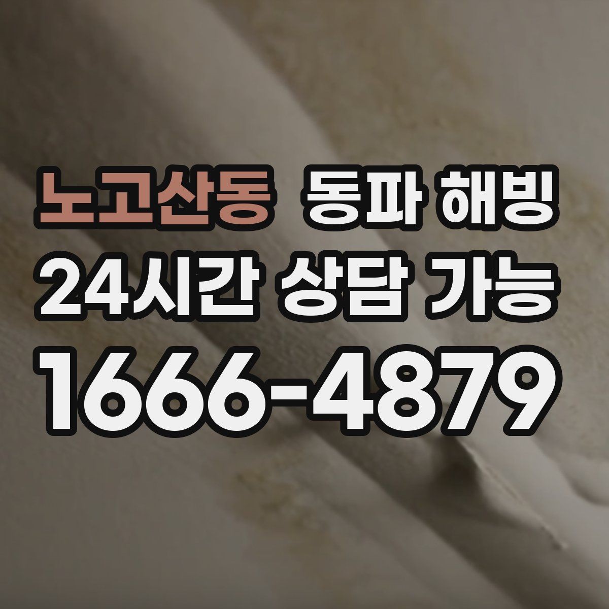 노고산동 동파 해빙 현장 점검은 어떤 순서로 진행될까