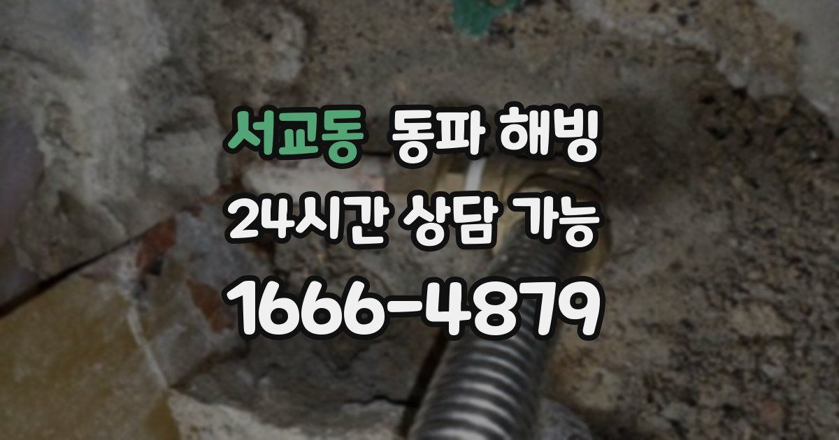 서교동 동파 해빙