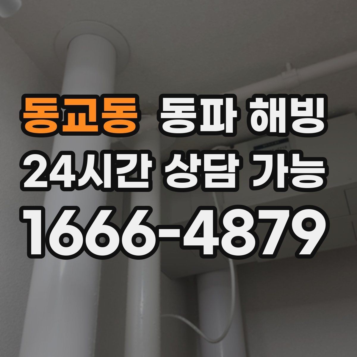 동교동 동파 해빙 급수 복구 후 주방 수전 테스트 포인트