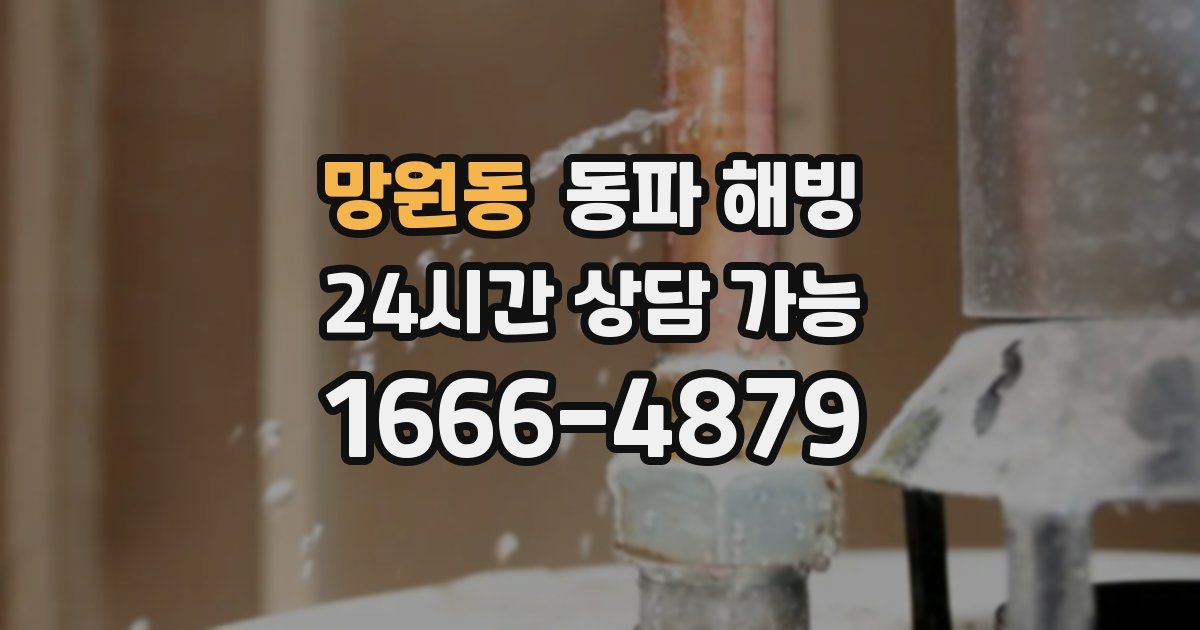 망원동 동파 해빙