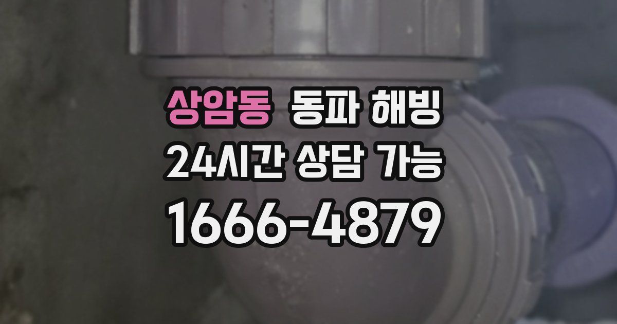 상암동 동파 해빙