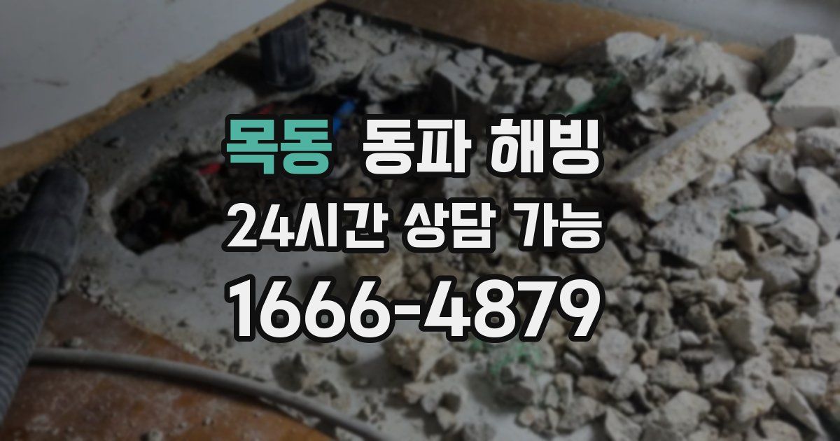 목동 동파 해빙