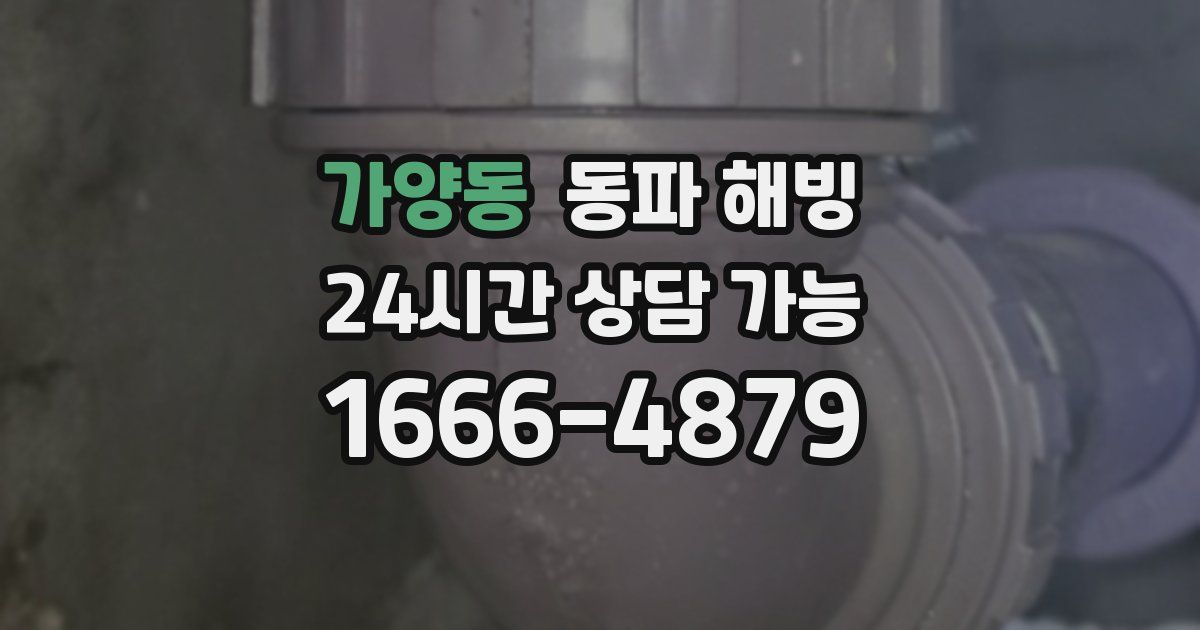 가양동 동파 해빙