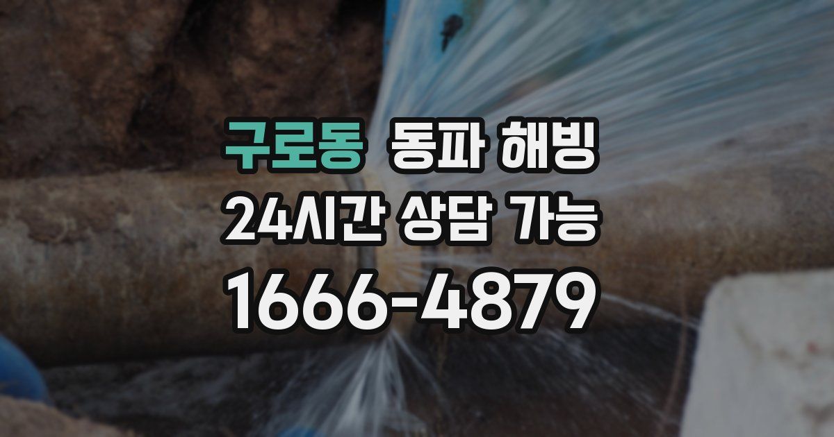 구로동 동파 해빙