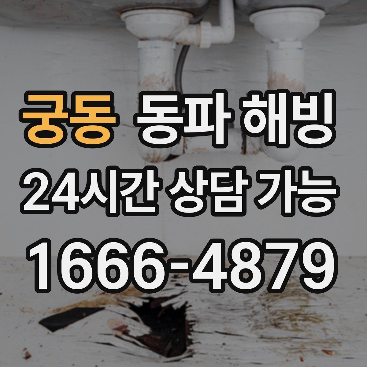 궁동 동파 해빙 취약 구간을 한 번에 정리하는 체크