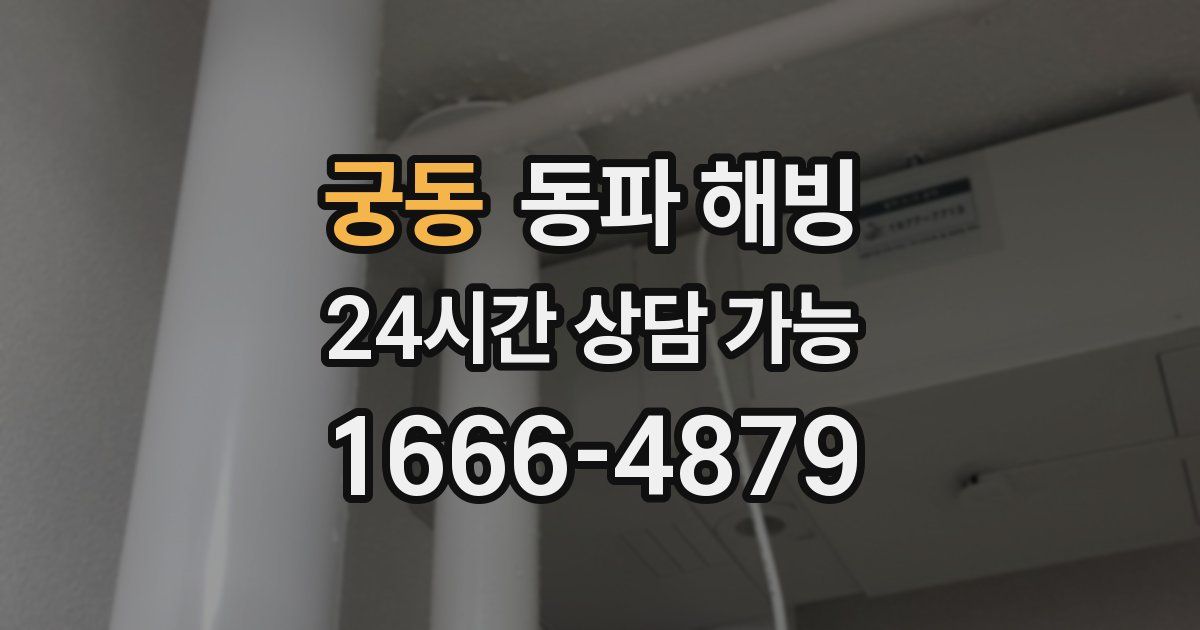 궁동 동파 해빙