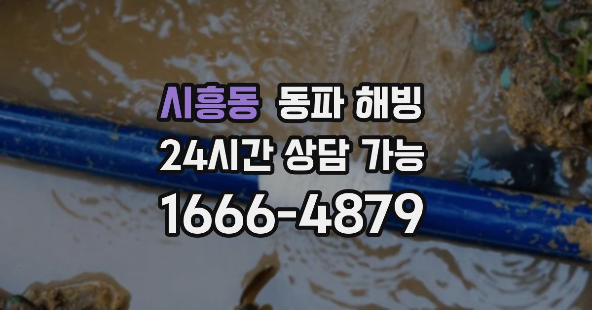 시흥동 동파 해빙