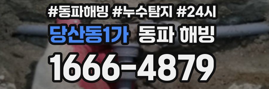 당산동1가 동파