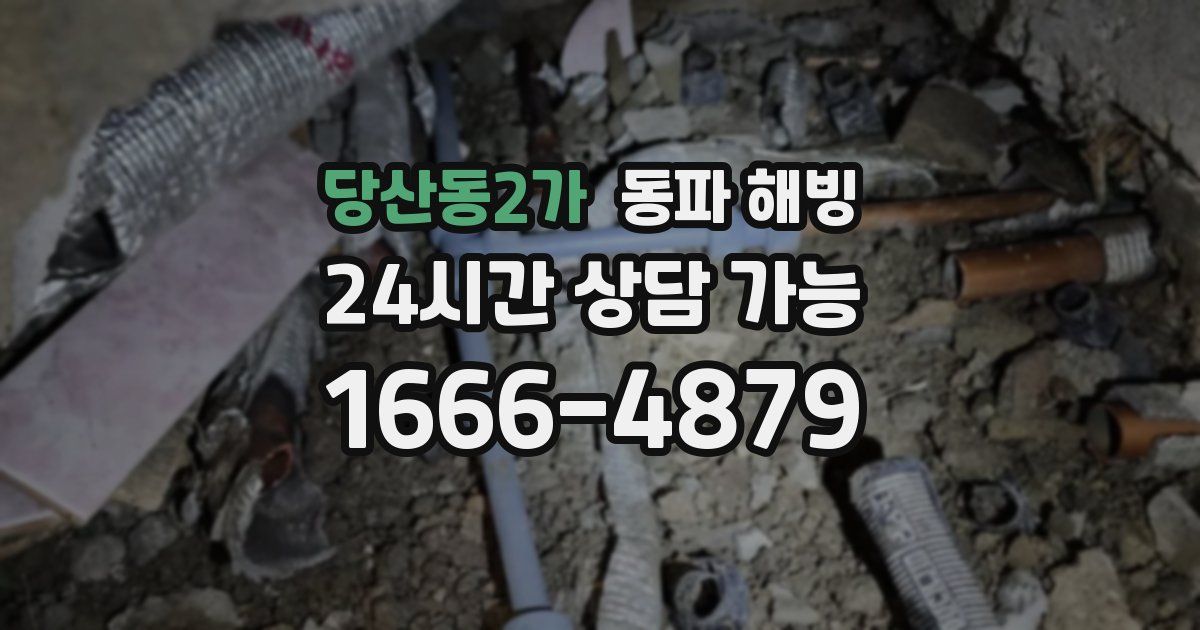 당산동2가 동파 해빙