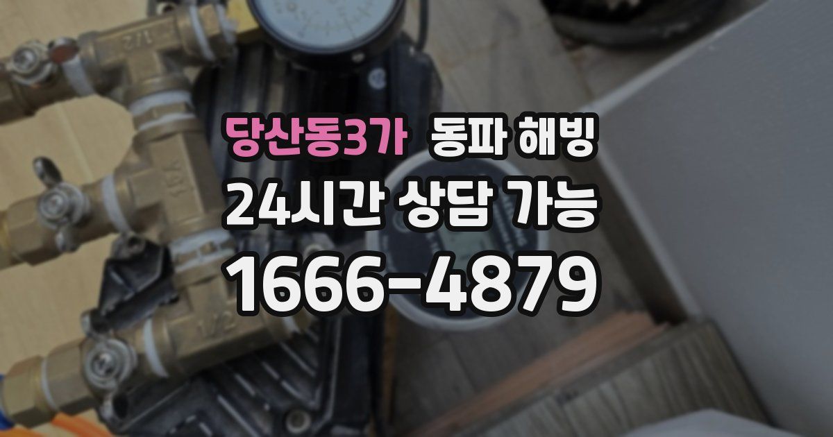 당산동3가 동파 해빙