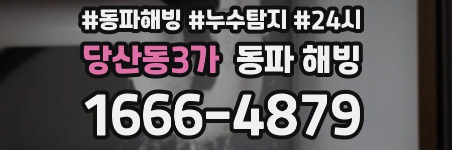 당산동3가 동파