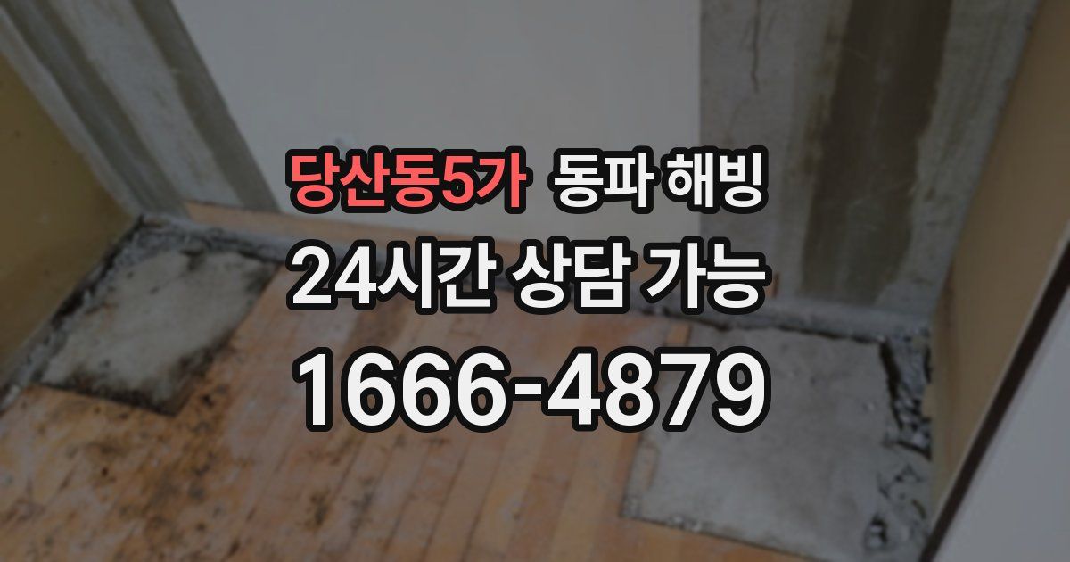 당산동5가 동파 해빙