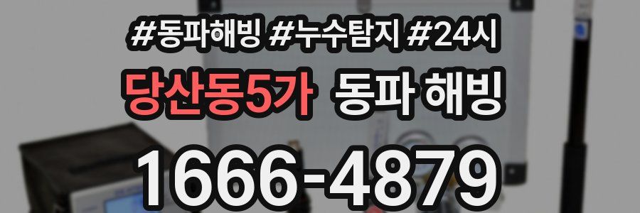 당산동5가 동파