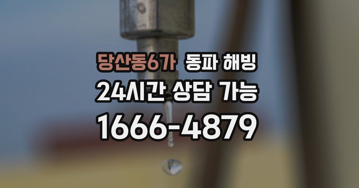 당산동6가 동파 해빙