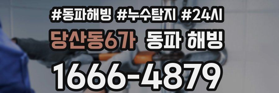 당산동6가 동파
