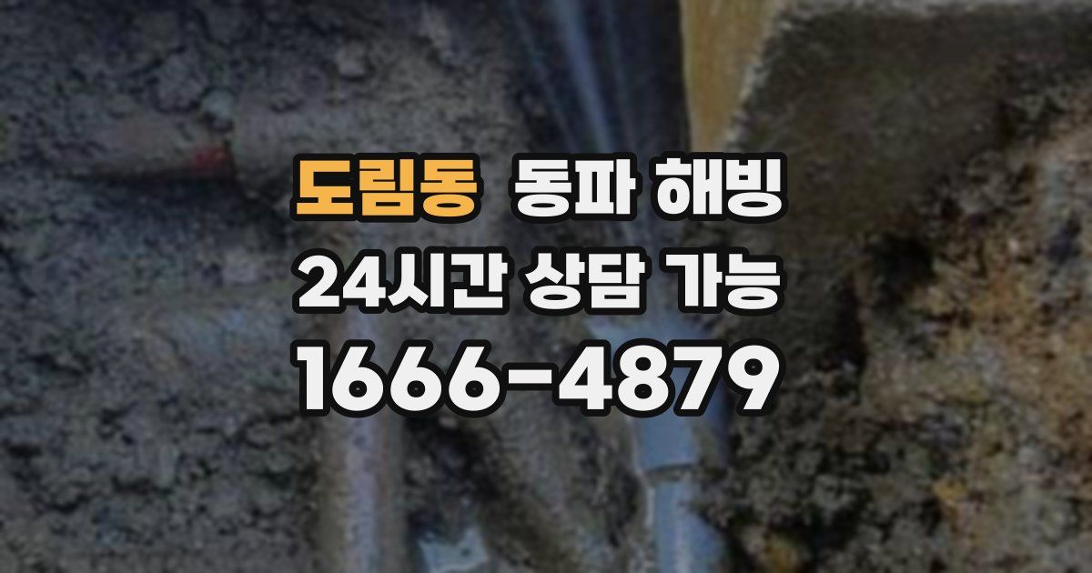 도림동 동파 해빙