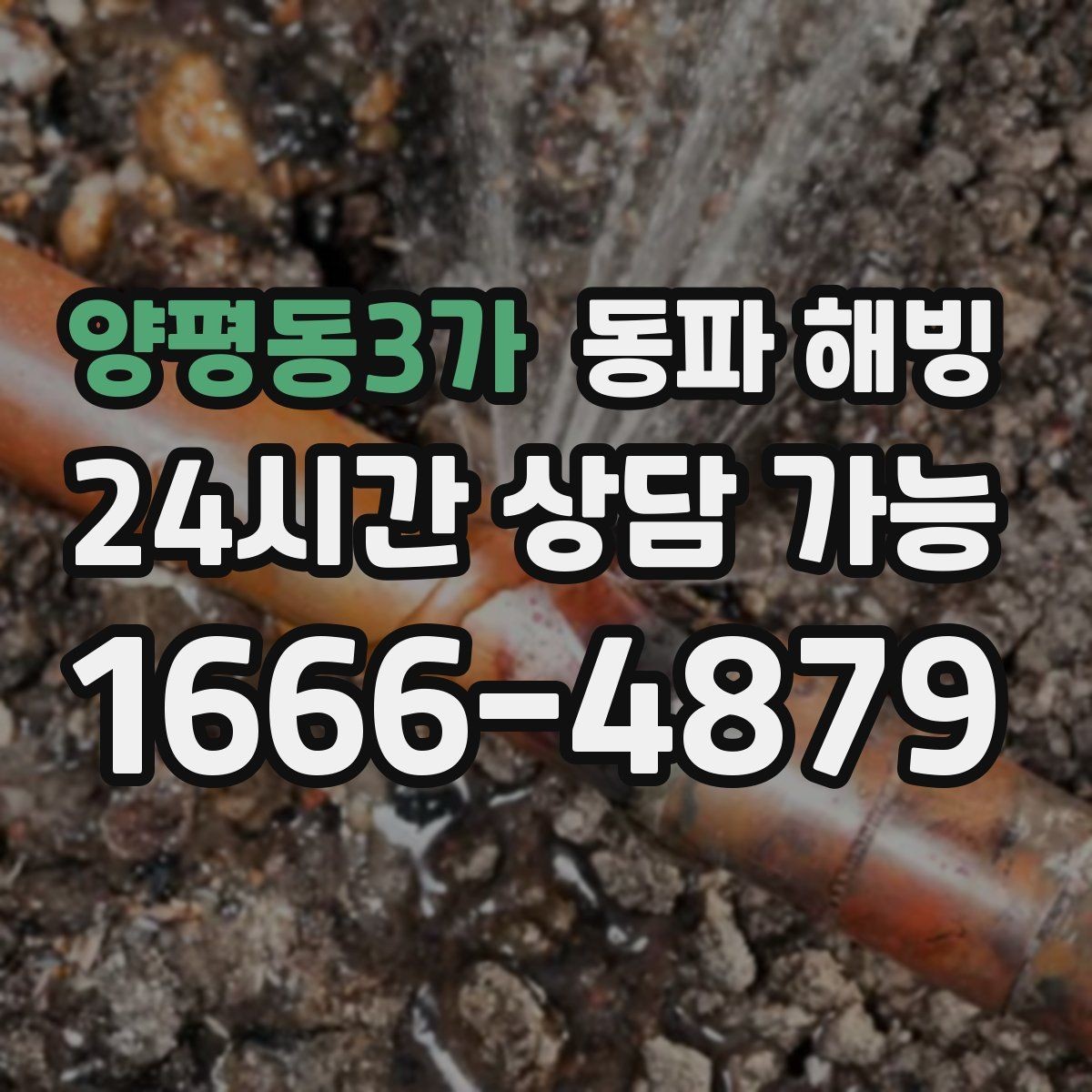 양평동3가 동파 해빙 마당 수도 결빙 증상별 점검